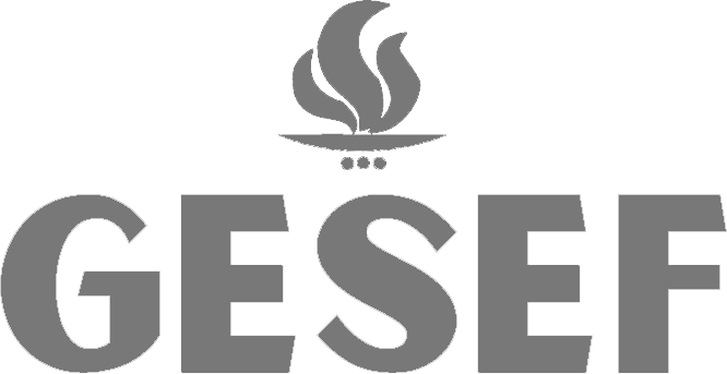 Grupo de estudos socioculturais em educação física - ufrgs (1) (3) (1)